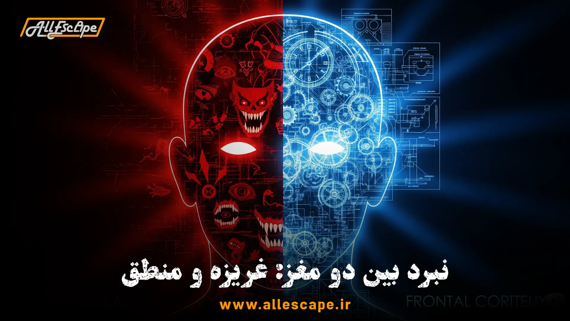 نمایش دوگانگی مغز انسان در مقابل ترس، شامل بخش غریزی (آمیگدال) و بخش منطقی (قشر پیش‌پیشانی).